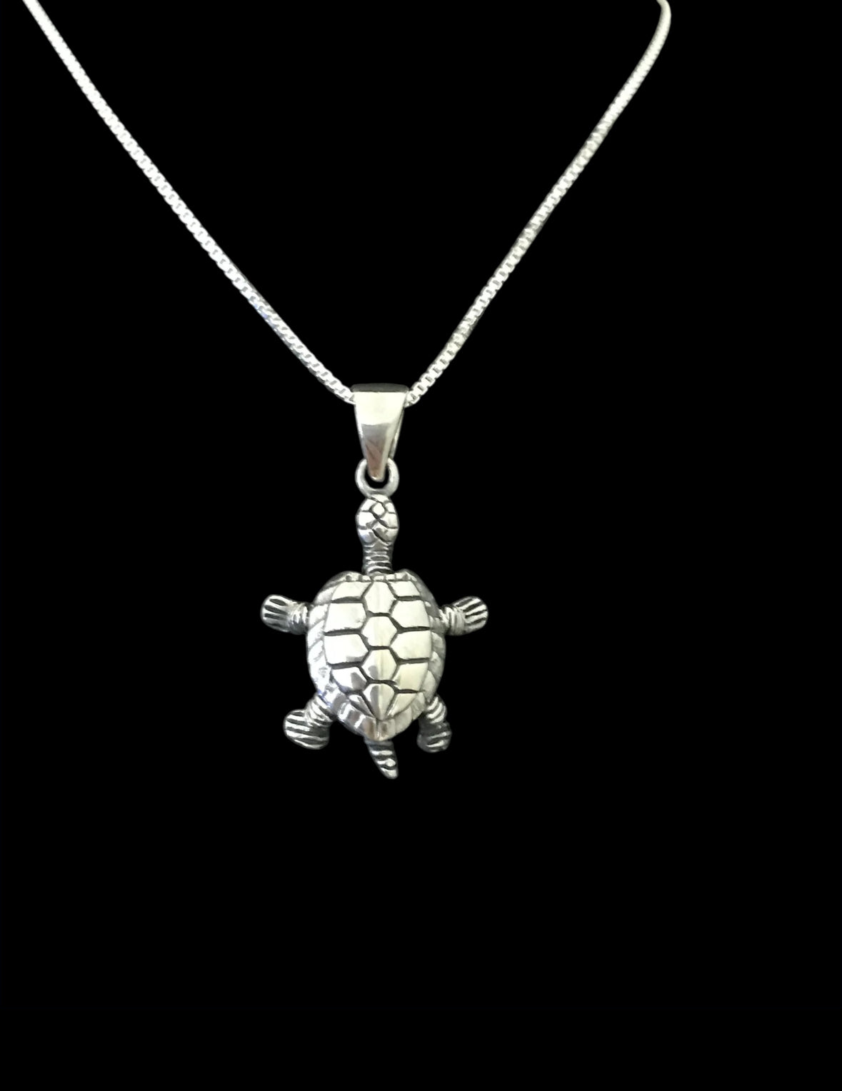 Turtle Necklace