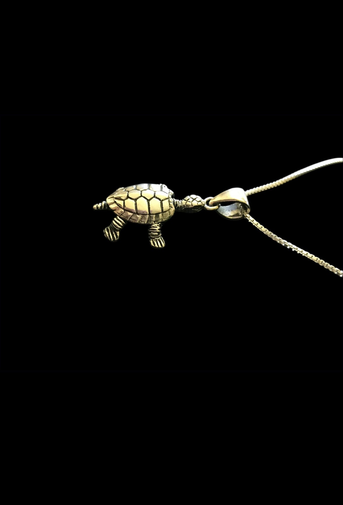 Turtle Necklace